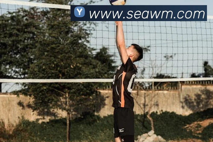 米兰网页版官网入口平台生态图